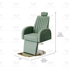 Salon Chair Green For Hair Cutting and Makeup - makeup chair - albasel 