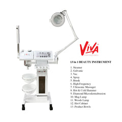 Viva 13-in-1 Facial spa beauty Instrument