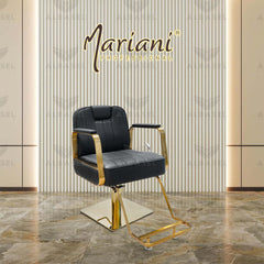 Luxury Salon Styling Chair  Gold & Black